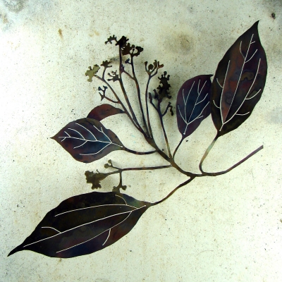 The Sixth Extinction: Our Postcolonial Ecology