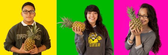 CONTRIBUTE YOUR PINEAPPLES