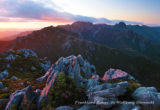 Wild Tasmania