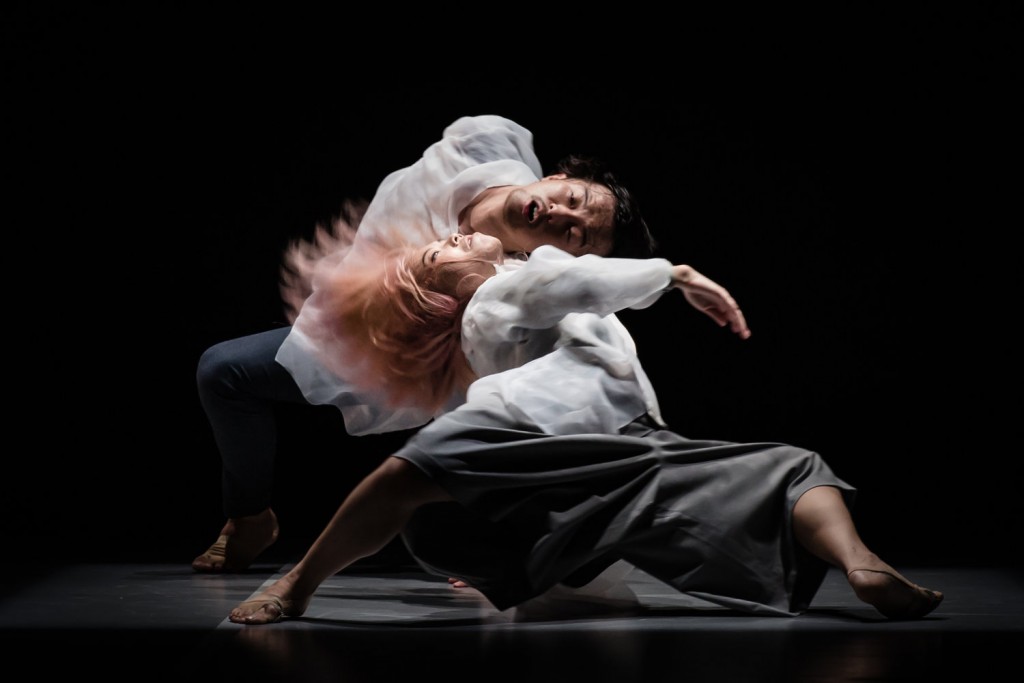SUPERCELL: Festival of Contemporary Dance