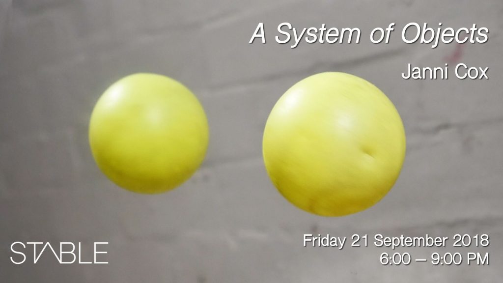 Janni Cox: A System of Objects