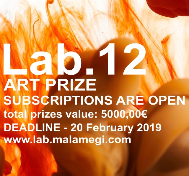 Lab.12 art contest