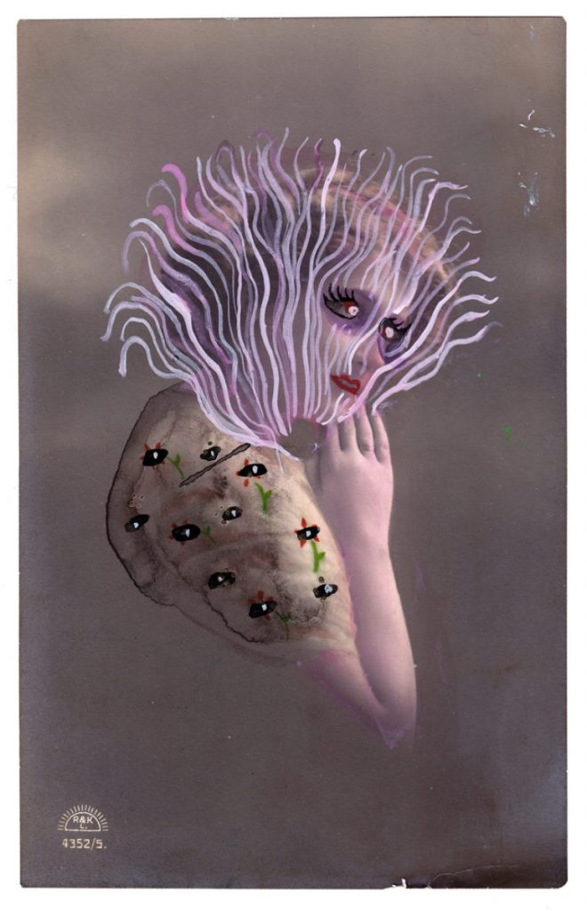 The New Gallery Show