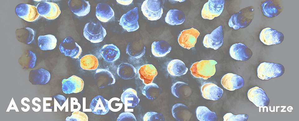 Assemblage International Artist Call