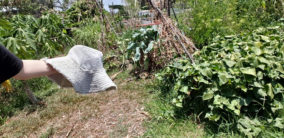 Sarah Poulgrain: Hat Making & Picnic