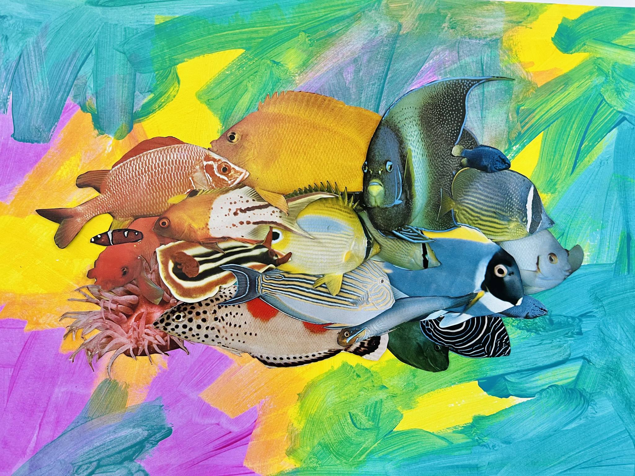 Sunday Jemmott: Diaries of a Rainbow Fish