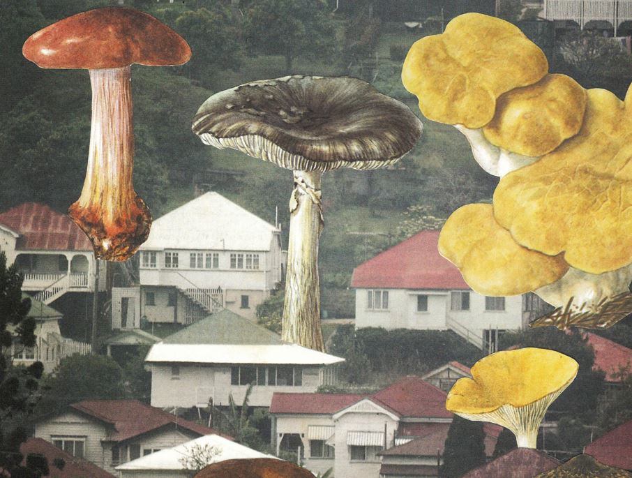Cut X Paste: Collage Forage
