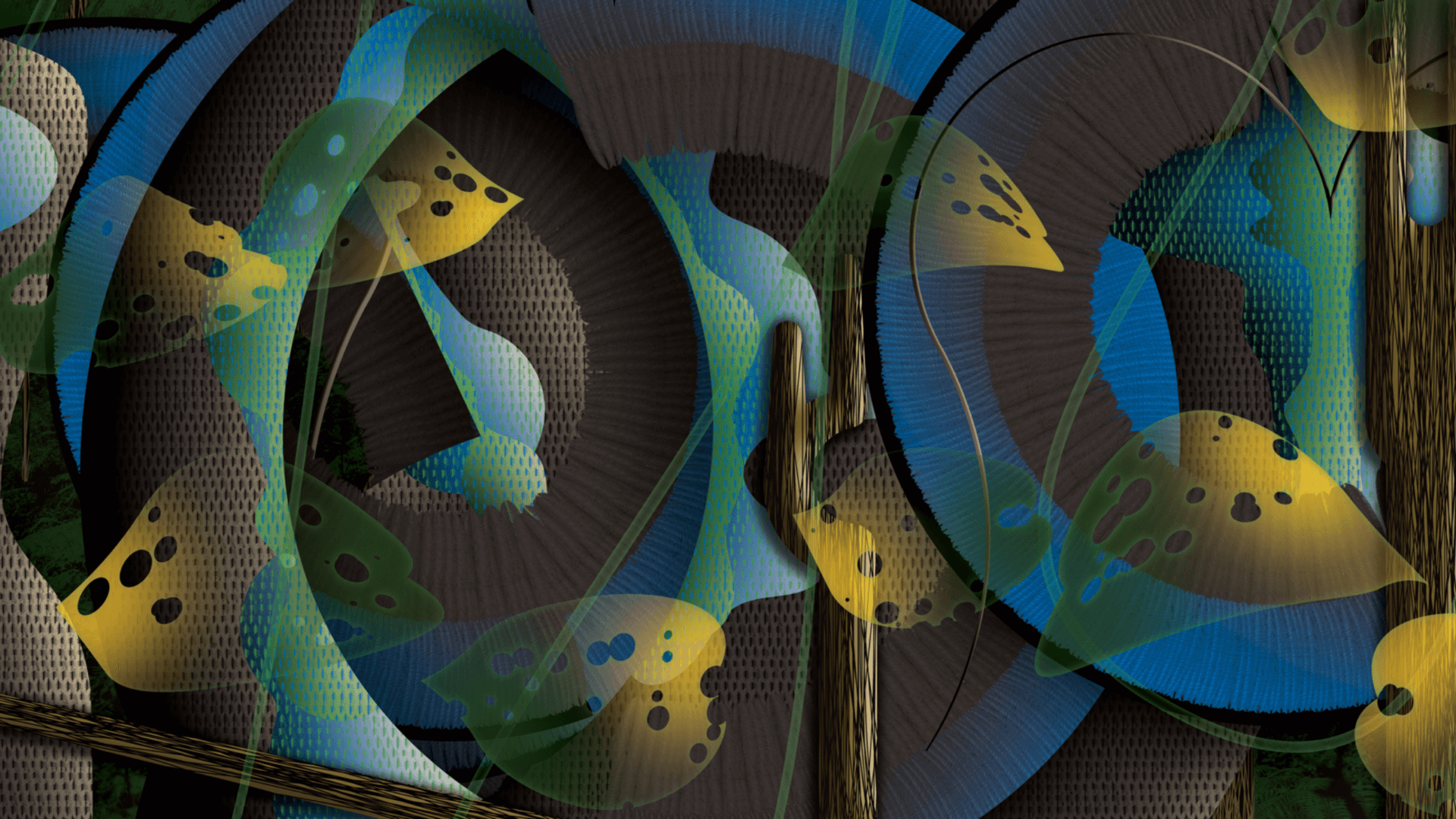 James Randall: Chromalinea