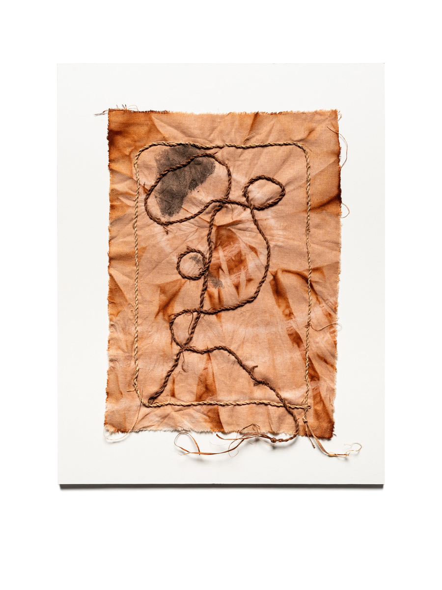 Elisa Jane Carmichael: floating with mangrove kin