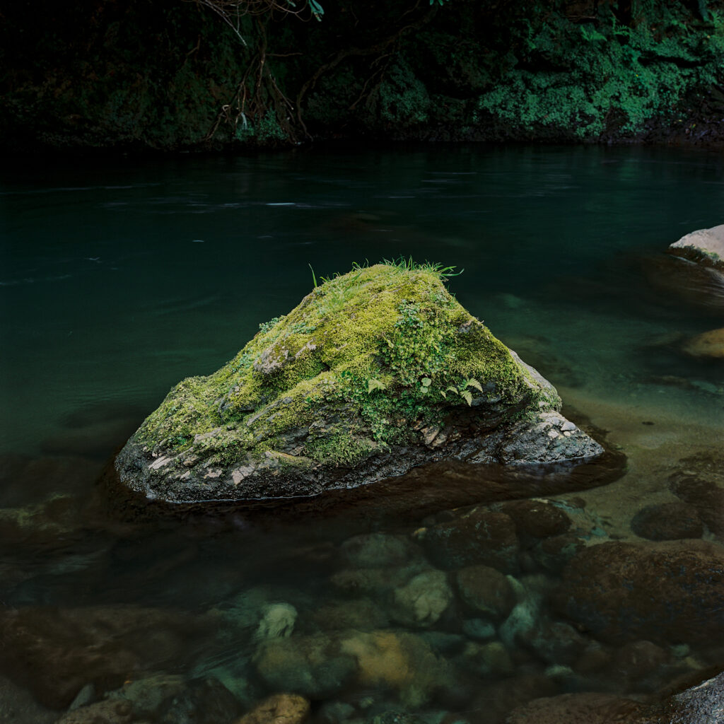 The Homiens Art Prize 2025