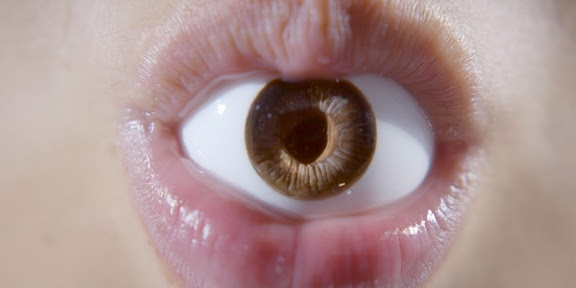 Inception: 1975–2001