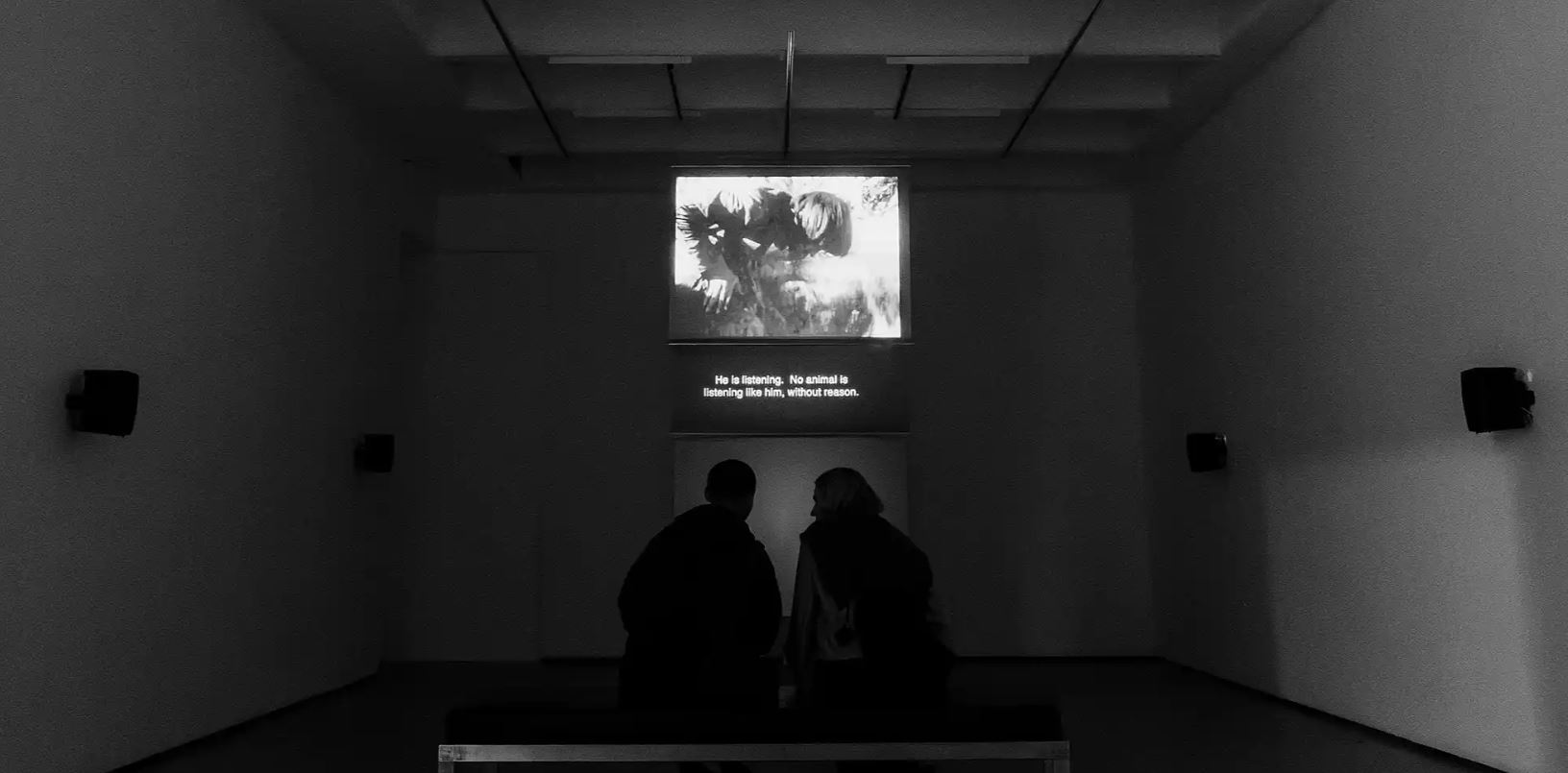 Ian Buchanan: What is Schizoanalysis?