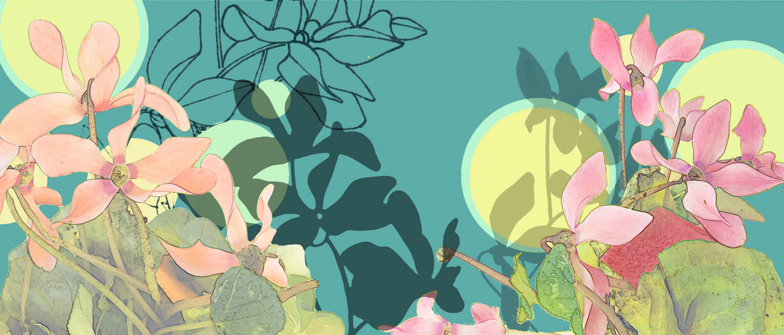 AMPLIFY: Mural Open Call