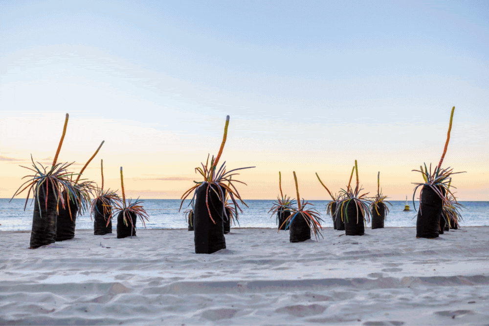 Sculpture by the Sea: Cottesloe 2026