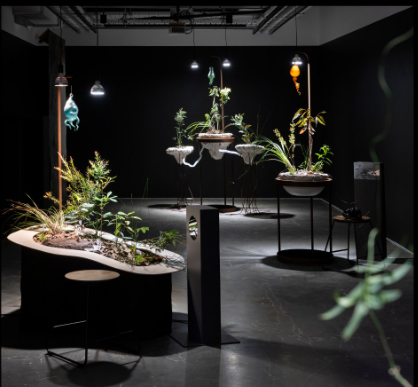 Curator Position: Metro Arts