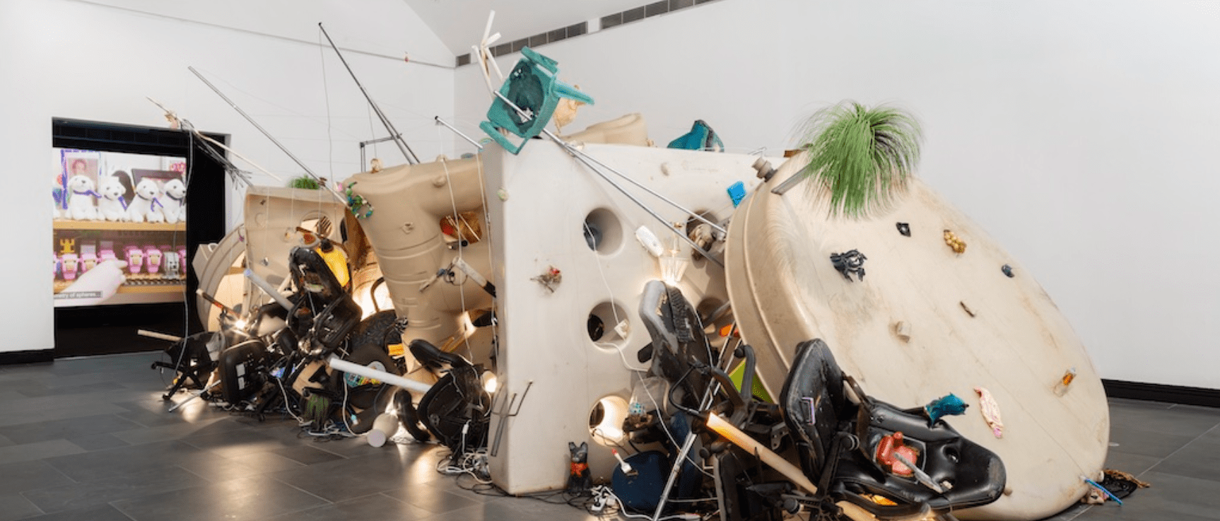 Erika Scott: Cambium Itch