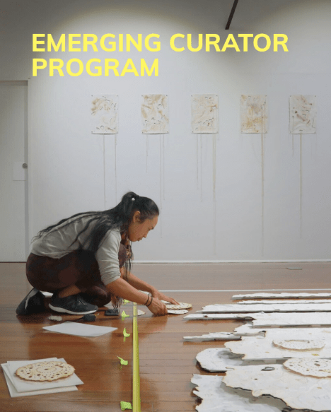 The Emerging Curator Program
