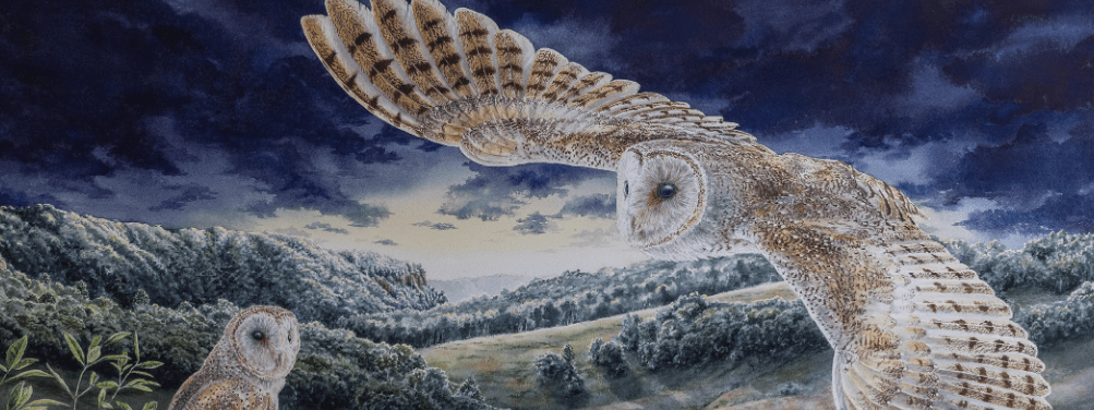 Jonathon Westacott: Mervyn Moriarty Landscape Solo Exhibition
