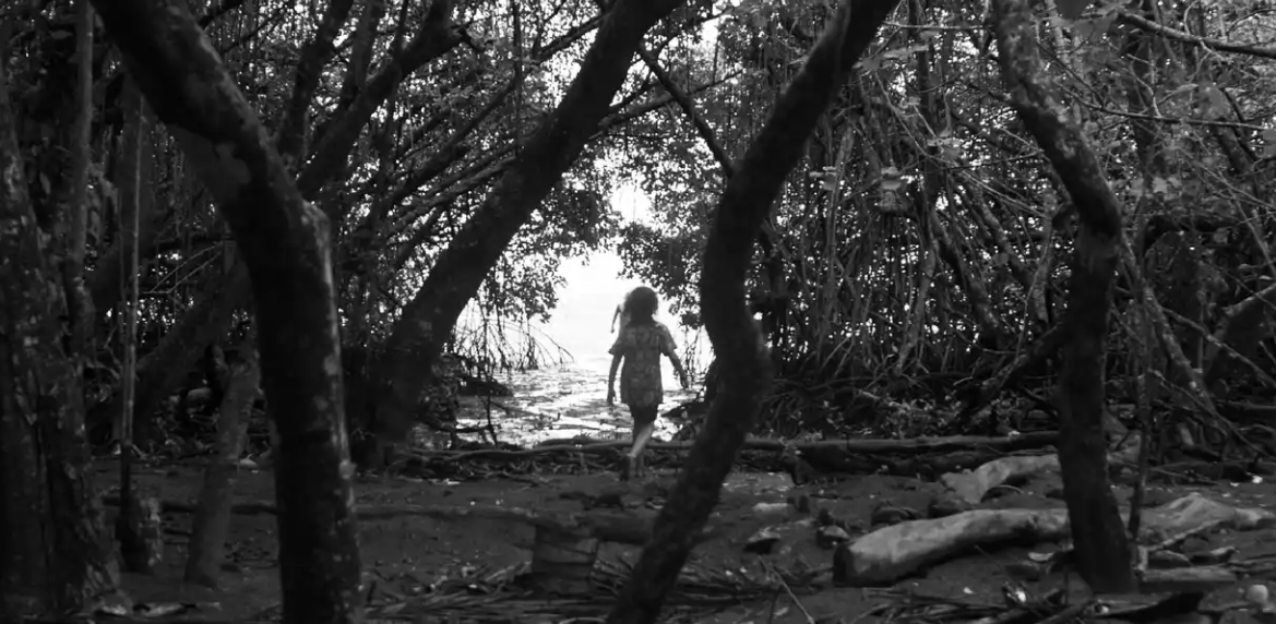 Karlina Mitchell: Homeplace