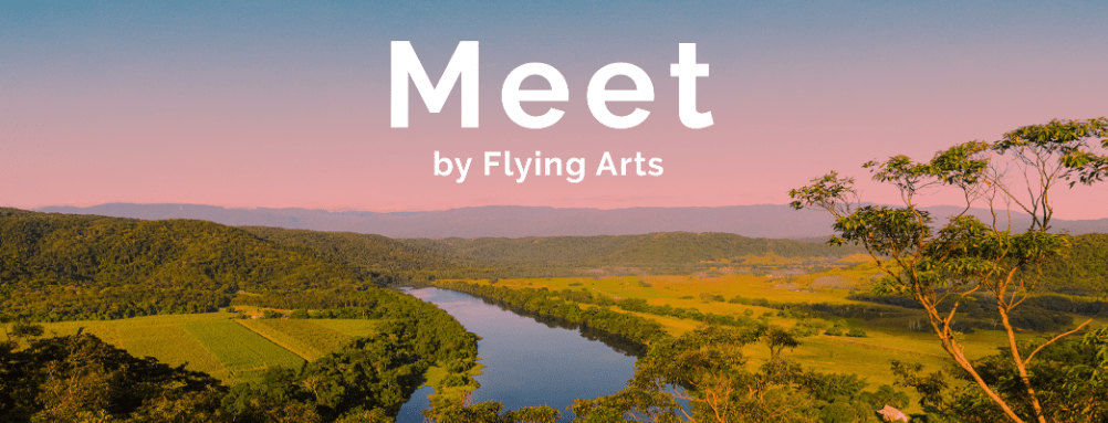 Meet by Flying Arts: Online Artist Networking