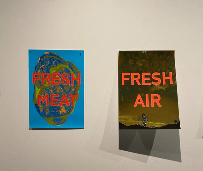 Lulu Geraghty and Vincent Vallance: Meat, Air and Other Myths