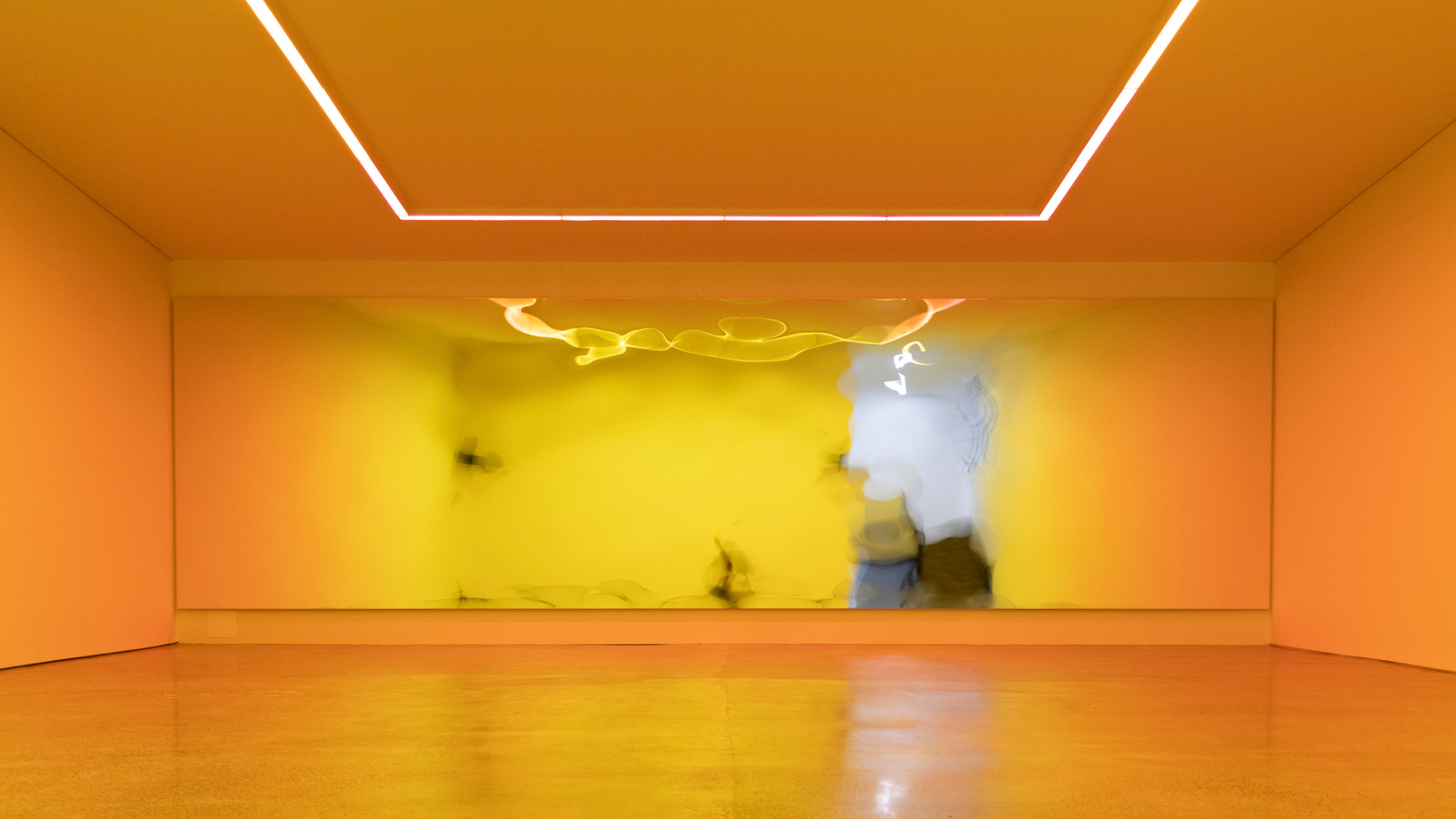 Jonny Niesche: Total Vibration
