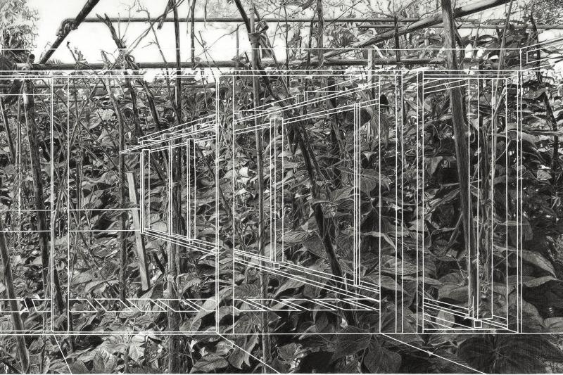 Dobell Drawing Prize