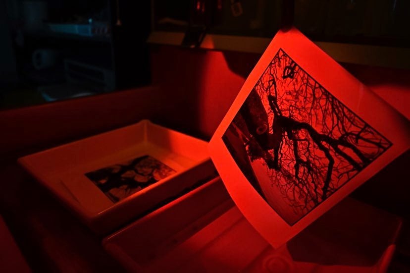 Maud Gallery: Photography Workshops