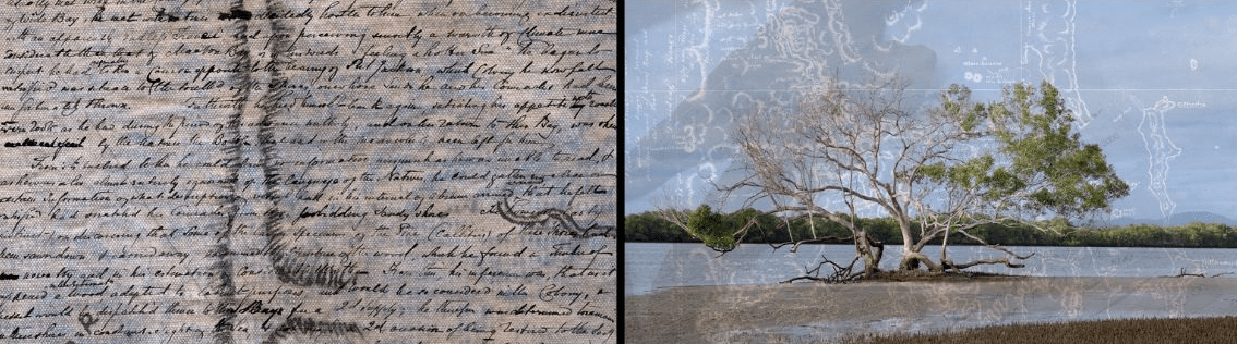 Judy Watson: kau-in kau-in blood blood
