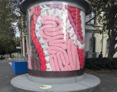 Newtown ArtSeat