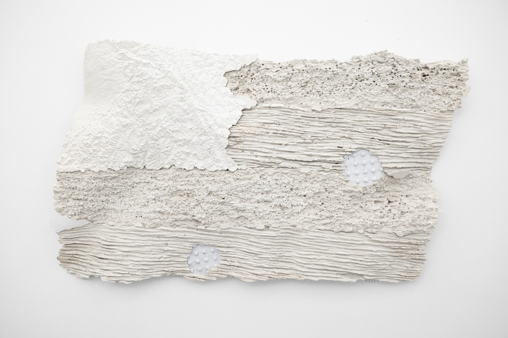 Bruce Reynolds: White Flag