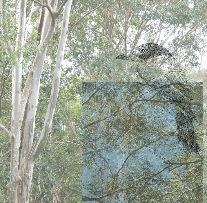 Alex Chadwick: Beyond the Garden