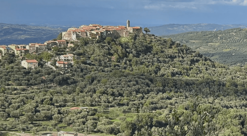 Cultivate: La Baldi Residency