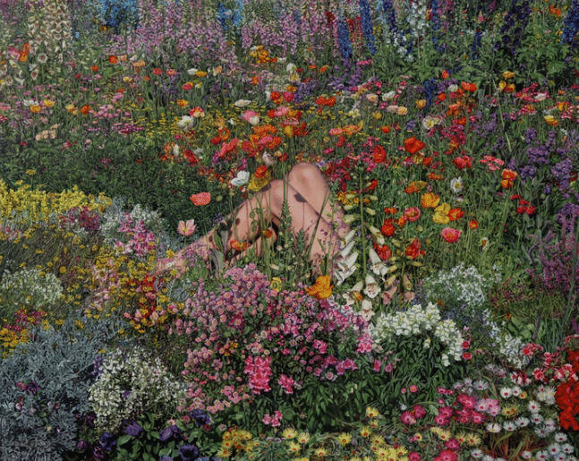 Bronwyn Hill: Bloom